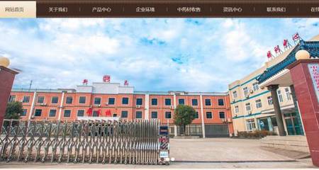 藥煥新章，智聯(lián)未來——安徽新*藥業(yè)網(wǎng)站創(chuàng)意主題設(shè)計